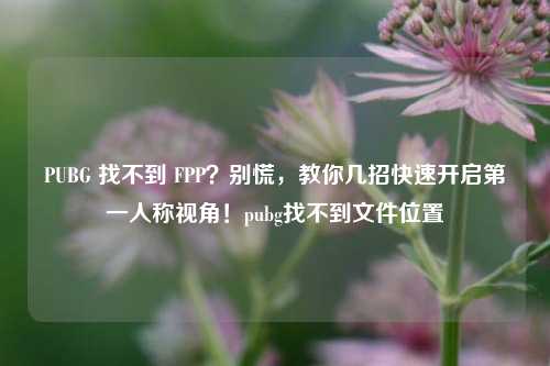 PUBG 找不到 FPP？别慌，教你几招快速开启第一人称视角！pubg找不到文件位置
