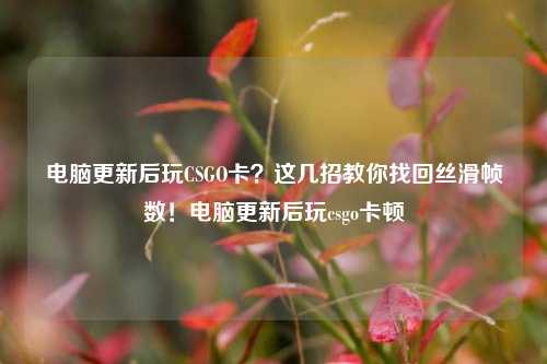 电脑更新后玩CSGO卡？这几招教你找回丝滑帧数！电脑更新后玩csgo卡顿