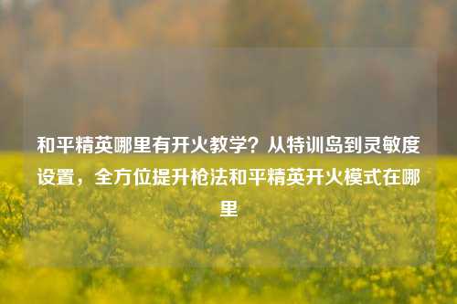 和平精英哪里有开火教学？从特训岛到灵敏度设置，全方位提升枪法和平精英开火模式在哪里