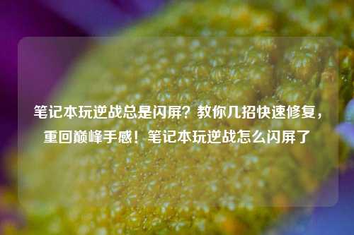 笔记本玩逆战总是闪屏？教你几招快速修复，重回巅峰手感！笔记本玩逆战怎么闪屏了