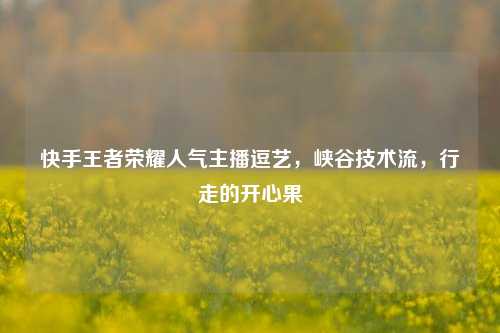 快手王者荣耀人气主播逗艺，峡谷技术流，行走的开心果