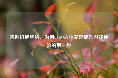 告别机翻尴尬，为何CSGO去中文是提升游戏体验的第一步