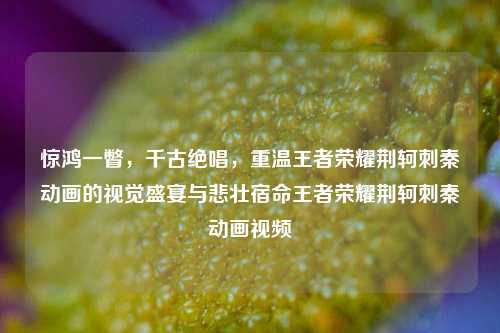 惊鸿一瞥，千古绝唱，重温王者荣耀荆轲刺秦动画的视觉盛宴与悲壮宿命王者荣耀荆轲刺秦动画视频