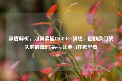 深度解析，如何读懂CSGO ESL战绩，回顾豪门战队的巅峰对决csgo比赛esl在哪里看