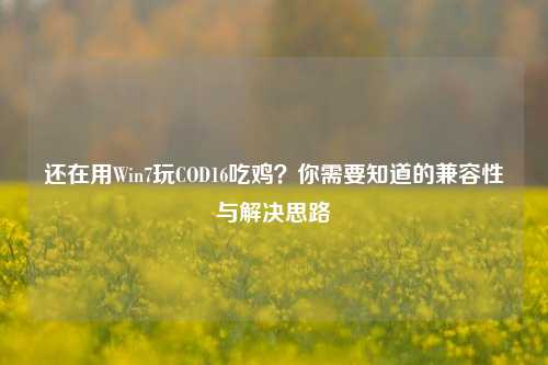 还在用Win7玩COD16吃鸡？你需要知道的兼容性与解决思路