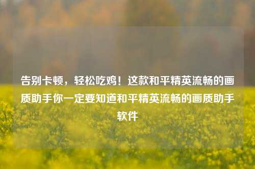 告别卡顿，轻松吃鸡！这款和平精英流畅的画质助手你一定要知道和平精英流畅的画质助手软件