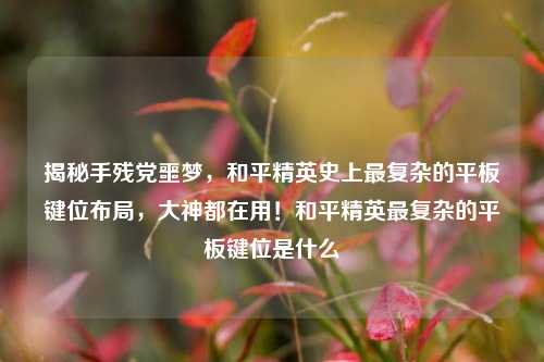 揭秘手残党噩梦，和平精英史上最复杂的平板键位布局，大神都在用！和平精英最复杂的平板键位是什么