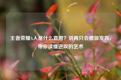 王者荣耀A人是什么意思？别再只会猥琐发育，带你读懂进攻的艺术