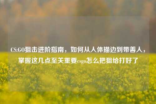 CS:GO狙击进阶指南，如何从人体描边到带善人，掌握这几点至关重要csgo怎么把狙给打好了