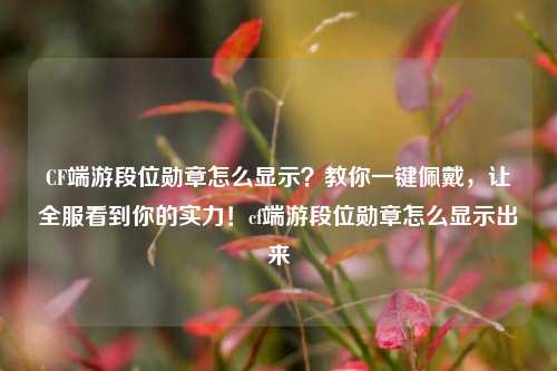 CF端游段位勋章怎么显示？教你一键佩戴，让全服看到你的实力！cf端游段位勋章怎么显示出来