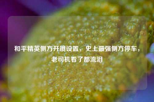 和平精英侧方开镜设置，史上最强侧方停车，老司机看了都流泪