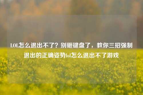 LOL怎么退出不了？别砸键盘了，教你三招强制退出的正确姿势lol怎么退出不了游戏