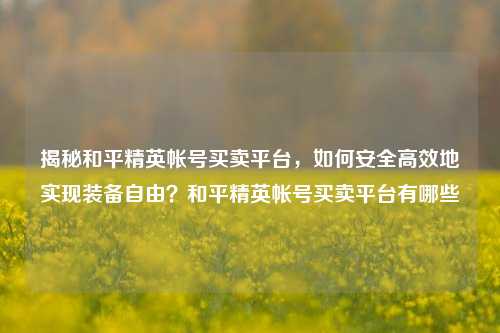 揭秘和平精英帐号买卖平台，如何安全高效地实现装备自由？和平精英帐号买卖平台有哪些