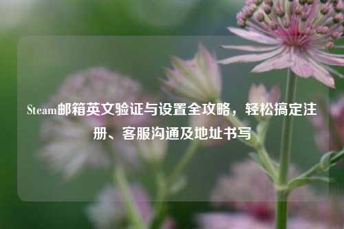 Steam邮箱英文验证与设置全攻略，轻松搞定注册、客服沟通及地址书写
