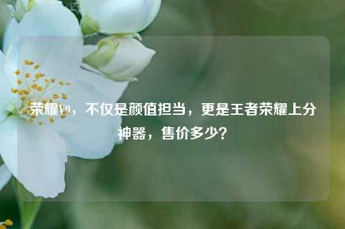 荣耀V9，不仅是颜值担当，更是王者荣耀上分神器，售价多少？