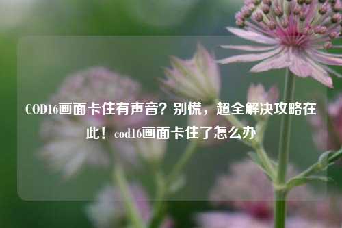 COD16画面卡住有声音？别慌，超全解决攻略在此！cod16画面卡住了怎么办