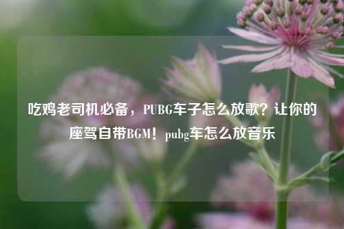 吃鸡老司机必备，PUBG车子怎么放歌？让你的座驾自带BGM！pubg车怎么放音乐