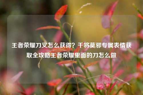 王者荣耀刀叉怎么获得？干将莫邪专属表情获取全攻略王者荣耀里面的刀怎么做