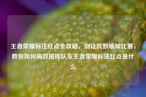 王者荣耀标注红点全攻略，别让沉默输掉比赛，教你如何高效指挥队友王者荣耀标注红点是什么