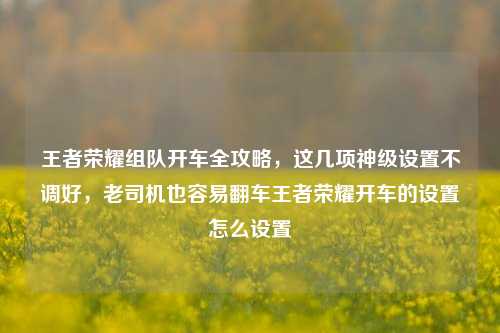 王者荣耀组队开车全攻略，这几项神级设置不调好，老司机也容易翻车王者荣耀开车的设置怎么设置