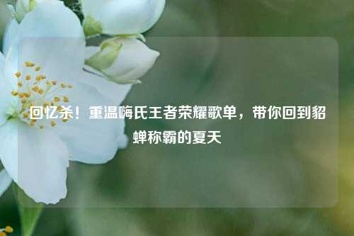 回忆杀！重温嗨氏王者荣耀歌单，带你回到貂蝉称霸的夏天