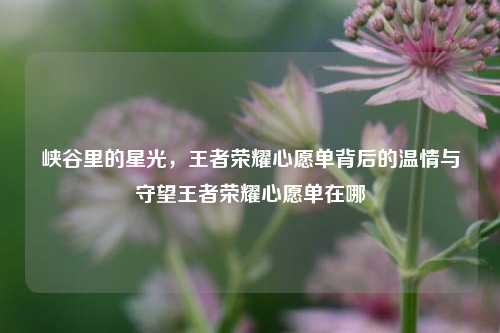 峡谷里的星光，王者荣耀心愿单背后的温情与守望王者荣耀心愿单在哪