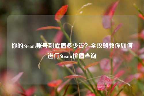 你的Steam账号到底值多少钱？全攻略教你如何进行Steam价值查询