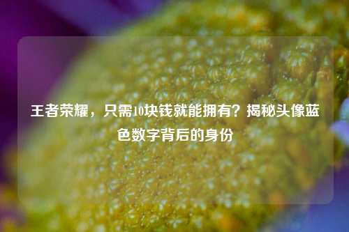 王者荣耀，只需10块钱就能拥有？揭秘头像蓝色数字背后的身份