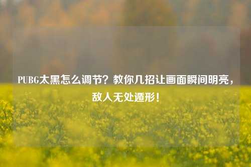 PUBG太黑怎么调节？教你几招让画面瞬间明亮，敌人无处遁形！