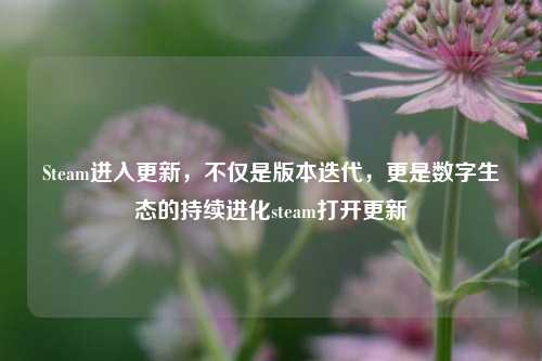 Steam进入更新，不仅是版本迭代，更是数字生态的持续进化steam打开更新