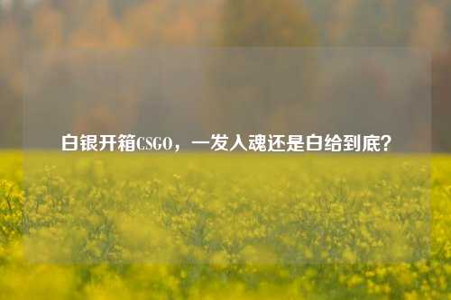 白银开箱CSGO，一发入魂还是白给到底？