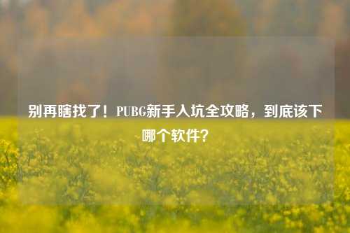 别再瞎找了！PUBG新手入坑全攻略，到底该下哪个软件？