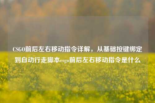 CSGO前后左右移动指令详解，从基础按键绑定到自动行走脚本csgo前后左右移动指令是什么