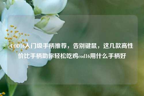 COD16入门级手柄推荐，告别键鼠，这几款高性价比手柄助你轻松吃鸡cod16用什么手柄好