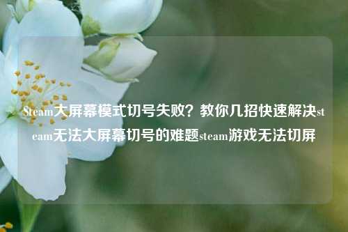 Steam大屏幕模式切号失败？教你几招快速解决steam无法大屏幕切号的难题steam游戏无法切屏