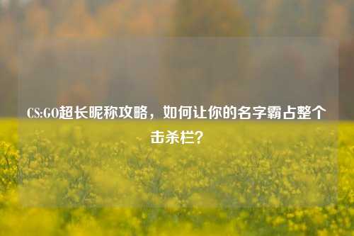 CS:GO超长昵称攻略，如何让你的名字霸占整个击杀栏？
