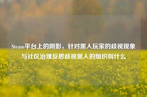 Steam平台上的阴影，针对黑人玩家的歧视现象与社区治理反思歧视黑人的组织叫什么