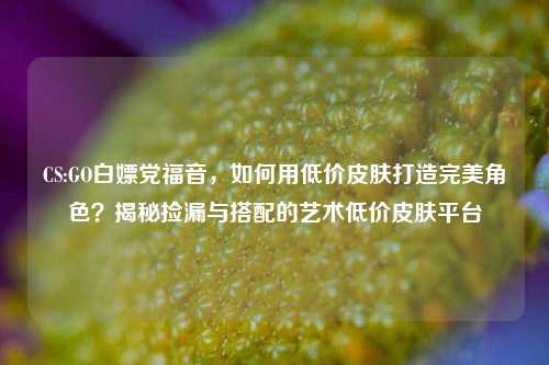CS:GO白嫖党福音，如何用低价皮肤打造完美角色？揭秘捡漏与搭配的艺术低价皮肤平台