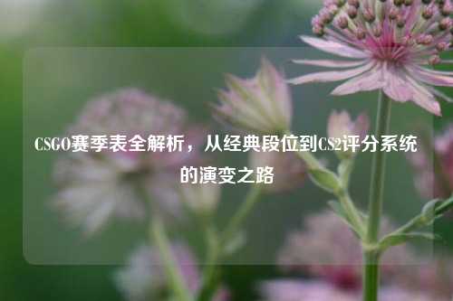 CSGO赛季表全解析，从经典段位到CS2评分系统的演变之路