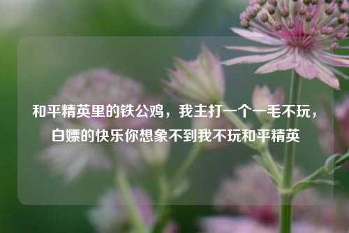 和平精英里的铁公鸡，我主打一个一毛不玩，白嫖的快乐你想象不到我不玩和平精英