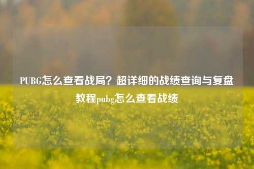PUBG怎么查看战局？超详细的战绩查询与复盘教程pubg怎么查看战绩