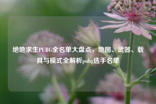 绝地求生PUBG全名单大盘点，地图、武器、载具与模式全解析pubg选手名单