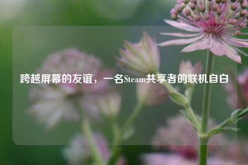 跨越屏幕的友谊，一名Steam共享者的联机自白