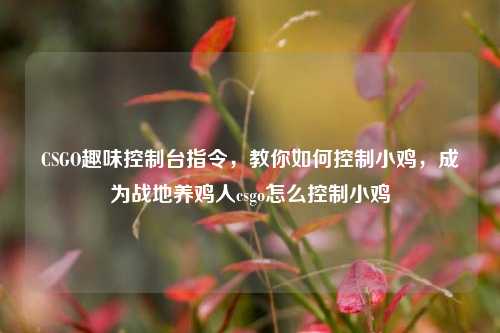 CSGO趣味控制台指令，教你如何控制小鸡，成为战地养鸡人csgo怎么控制小鸡