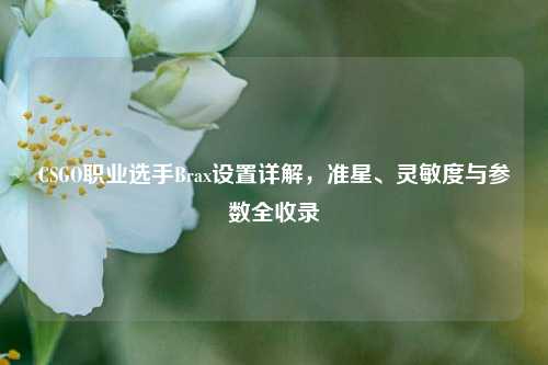 CSGO职业选手Brax设置详解，准星、灵敏度与参数全收录
