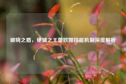 破晓之盾，硬辅之王蕾欧娜技能机制深度解析