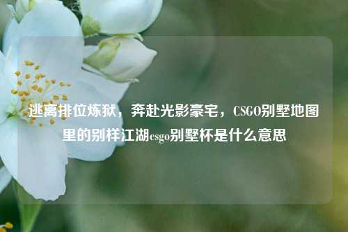 逃离排位炼狱，奔赴光影豪宅，CSGO别墅地图里的别样江湖csgo别墅杯是什么意思