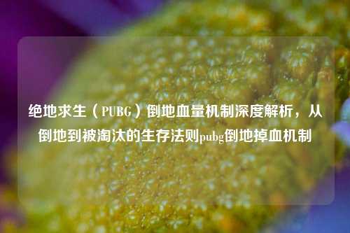 绝地求生（PUBG）倒地血量机制深度解析，从倒地到被淘汰的生存法则pubg倒地掉血机制