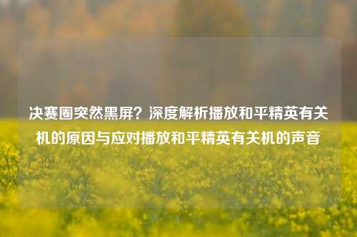 决赛圈突然黑屏？深度解析播放和平精英有关机的原因与应对播放和平精英有关机的声音