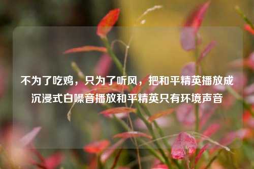 不为了吃鸡，只为了听风，把和平精英播放成沉浸式白噪音播放和平精英只有环境声音